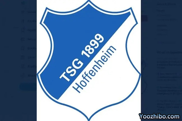 <a href=/zuqiuall/dejia/ target=_blank class=infotextkey>德甲</a>球队霍芬海姆简介一览