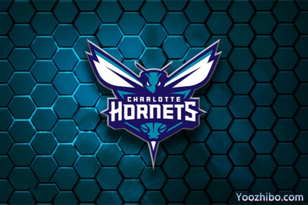 2019-2020赛季<a href=/lanqiuall/hornets/ target=_blank class=infotextkey>黄蜂</a>队队徽